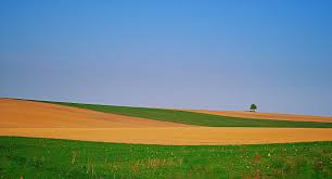 Das thema dieses fotos ist nebelige landschaft, ukraine, ukrainische landschaft. Kinderweltreise Ç€ Ukraine Land