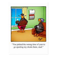 Funny Thanksgiving Humor Postcard Zazzle Com Funny Thanksgiving Thanksgiving Jokes Holiday Humor