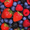 All parts of the plant can be toxic to humans if consumed in large quantities. 1