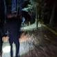 Nature Nightmares at KPNC event image