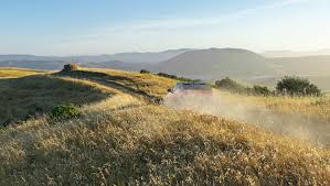 Latinaspy milena porn in any case, this little, perfectly