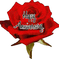 Cards ship the next business day! Wedding Anniversary Gifs Tenor