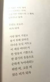 좋은시 좋은글 비오는 날의 일기 이해인 우리도 오늘은 비가 되자 네이버 블로그 좋은 시 일기 시