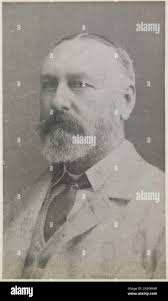 King alfred daffodils hi-res stock photography and images