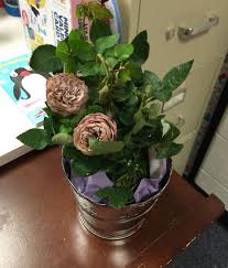 Accepts order and customer service calls. Retail Hell Underground You Had One Job 1 800 Flowers The First Valentine S Day Bouquet Fail Of The Season Has Been Delivered