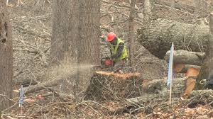 Image result for stop Mountain Valley Pipeline