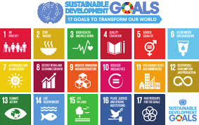 We a manufactured of preform and pet bottles. Https Www Kas De Documents 272088 8218860 Making Sdgs Matter Leaving No One Behind Pdf 99437e9c 74b5 95df A191 72e8633ac6a7 Version 1 0 T 1614075921186
