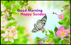 Your good morning wishes will be the best gift for them which will bring a beautiful smile on their face. 20 Wonderful Sunday Blessings Pictures Images With Good Morning Holiday Wishes