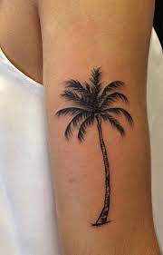 Check spelling or type a new query. Palm Tree Tattoo 300 Picture Ideas Palm Tattoos Tree Tattoo Ankle Sleeve Tattoos