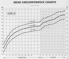 Normal Head Circumference For Adult