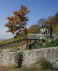 Blick auf die lage würzburger innere leiste. Weinbergsfuhrungen In Wurzburg Almut Schaffrath Fuhrung