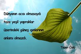 Yesil Ile Ilgili Guzel Sozler Super Guzel Sozler Yesil Yesil Gozler Guzel Soz