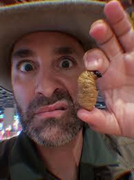 Harnessed my inner @beargrylls to indulge in a bug buffet in Bangkok. The  one time only Coyote gets to bite back