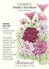 Double Click Blend Cosmos 25 Seeds Planting Bulbs Flower Seeds Plants