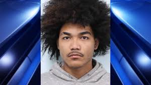 Police seize trafficking weight of fentanyl in Springfield