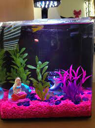 Aquarium decorations ideas for your living room can be a unique designing element. Pirate Themed Aquarium Decorations Www Macj Com Br