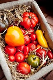 La Tomate Tout Ce Qu Il Faut Savoir Avant De Croquer Dedans