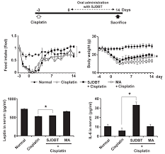 Long Term Administration Of Sjdbt Prevents Cisplatin Induced Anorexia Download Scientific Diagram