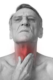 Ластівка fotografie, zdjęcia stockowe, obrazy bez tantiem