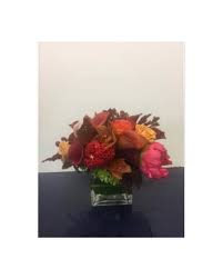 Maybe you would like to learn more about one of these? Santa Monica Florist Flower Delivery By Ann S Flowers