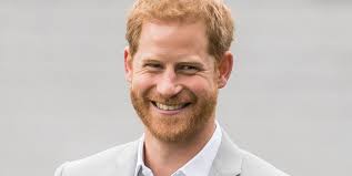 Prince Harry's New Jobs After Stepping Back As Working Member Of The Royal  Family