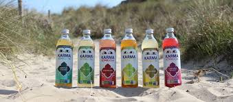 Qu Est Ce Que Le Kombucha