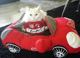 furcedes sports car bed sports bedding car bed pet beds