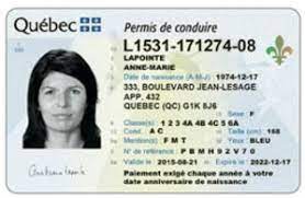 Normes Pour La Prise De Photo Et Caracteristiques Du Permis Saaq