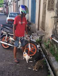 Yang perlu diberi perhatian jika kita mahu mengurangkan. Anjing Kucing Jalanan Makan Mewah Kerana Lelaki Ini Berhutang Saya Makan Nasi Dengan Telur Goreng Cicah Kicap Dah Cukup Viral Mstar