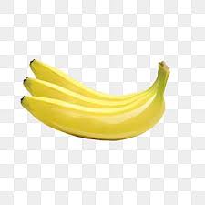 fruit drawing clipart banana banana fruit set png transparent image and clipart for free download in 2021 fruits drawing fruit picture fruit clipart