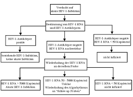 Betroffene fühlen sich oftmals gesund und bemerken weder physische noch psychische symptome. 5 Die Akute Hiv 1 Infektion Hivbuch De