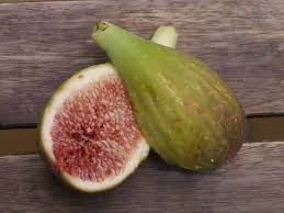 Jenis buah tinnya adalah tin ara figs yellow ksa.perbanyakan. 10 Jenis Buah Tin Yang Paling Enak Dan Mesti Dicoba