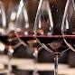 NIES 2024 October Tasting