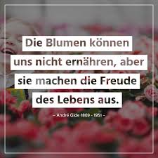 Die Besten Zitate Spruche Und Lebensweisheiten Zum Nachdenken In 2020 Gute Zitate Lebensweisheiten Zum Nachdenken Weisheiten