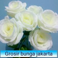 Gambar sepasang tunas kelapa berwarna hitam di atas kotak berwarna putih dengan setiap sudutnya yang melengkung. Bunga Plastik Mawar Putih Hiasan Dekorasi Dan Wedding Shopee Indonesia