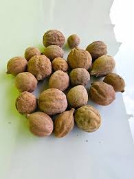 Image result for Terminalia bellirica