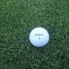 Indeed, tifway still graces the surfaces of countless golf courses, sports. Https Encrypted Tbn0 Gstatic Com Images Q Tbn And9gcqvbv 0h7ifr1msrvmubrgp3j567i5mjzgjudei Kgfaiufqkeb Usqp Cau