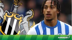 Newcastle đánh bại Arsenal và Chelsea vụ tiền đạo Joao Pedro