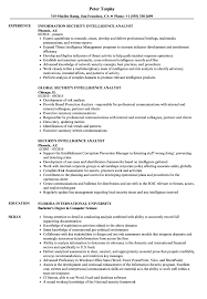 This is the most critical area of the resume. Security Intelligence Analyst Resume Samples Velvet Jobs
