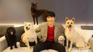 At the age of 17, while still in high school, he began working as a restaurant singer. No One Loves Stray Animals More Than Jam Hsiao Today