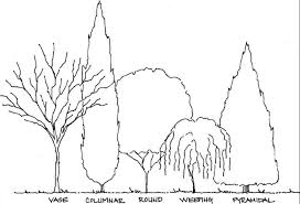 One line drawing vector monstera leaf and banana tree leaves. Enh1172 Ep433 Landscape Design Aesthetic Characteristics Of Plants