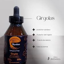 Girgolas — Mycellium