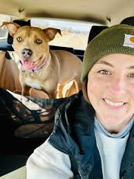 Traveling with a pet road trip safety tips