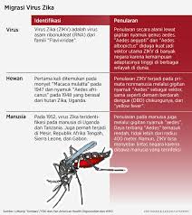 Ketika itu menyebabkan gejala (sekitar satu dari setiap lima infeksi), itu biasanya menghasilkan penyakit yang berlangsung beberapa hari hingga seminggu. Zika Tidak Hanya Di Jambi Rumah Pengetahuan