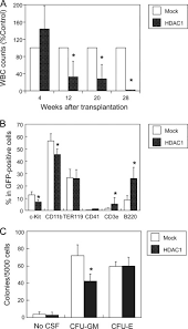 Expression Levels Of Histone Deacetylases Determine The Cell Fate Of Hematopoietic Progenitors Journal Of Biological Chemistry