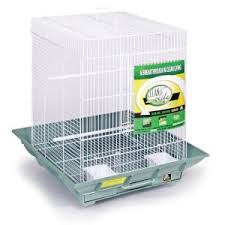 Bird Cage Seed Guard Petsmart Prevue Pet Clean Life Bird Cage Cages Stands Bird Petsmart Flight Cage Clean Life Small Pets