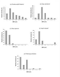 Image result for Pouteria adolfi-friederici