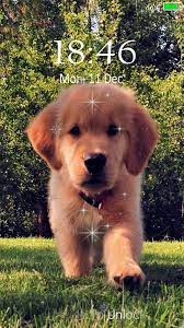 Cute Puppy Dog Live Wallpaper Lock Screen For Android Apk Download Don t stick your mobile s boring wallpaper here are another set of cute wallpapers for iphones and androids. cute puppy dog live wallpaper lock