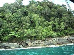 Maybe you would like to learn more about one of these? Memancing Sekitar Pulau Bidan Pulau Telor Pulau Songsong Yan Youtube