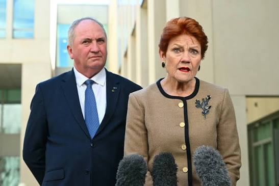 View from The Hill: Pauline Hanson sets new hares running on super